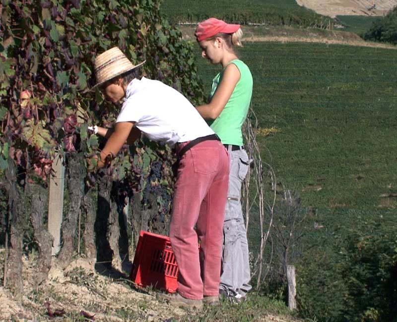 Langhe Doc Film, Still 2 - Maria Teresa Mascarello